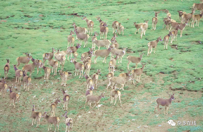 保護中華水塔 當好地球衛(wèi)士