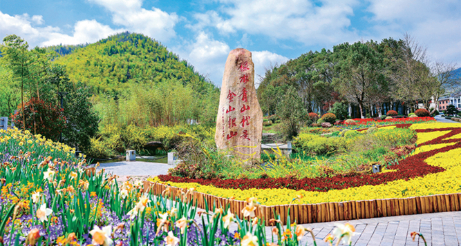 深度調(diào)研 | 余村調(diào)查