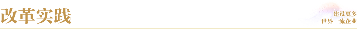 改革實踐